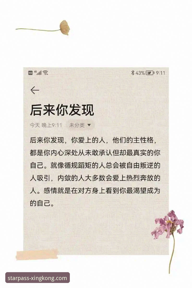 星空官网官方平台2026最新版本 星空入口平台2026版深度评测:突破边界的官方体验全解析