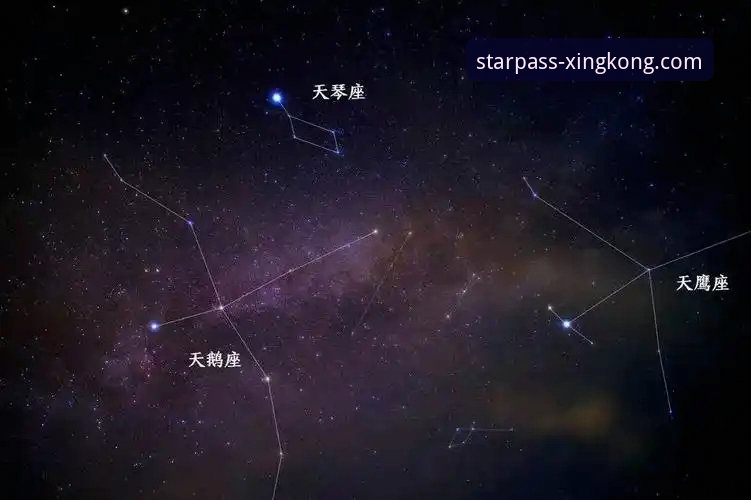 星空入口平台使用攻略详解：从下载到体验的完整指南